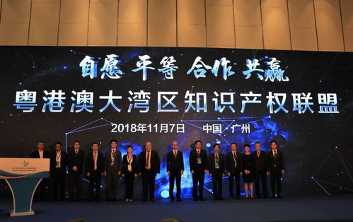 成立粵港澳大灣區(qū)知識(shí)產(chǎn)權(quán)聯(lián)盟 黃埔區(qū)廣州開(kāi)發(fā)區(qū)為企業(yè)創(chuàng)新發(fā)展賦能
